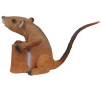 Tarcza 3D - Szczur z pieńkiem Longlife