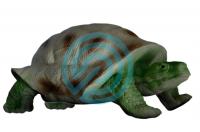 Tarcza 3D z wizerunkiem zwierząt - Żółw