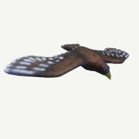 Leitold Flying Golden Eagle Bearpaw Bodnik