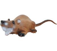 Tarcza 3D - Szczur Longlife